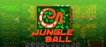 Video Bingo Jungle Ball